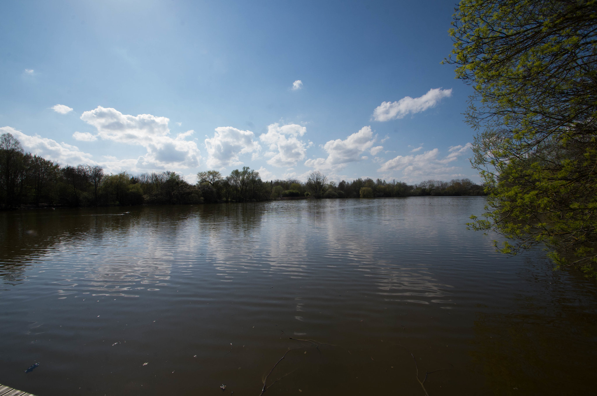 parc des oiseaux Villars les Dombes - Ain