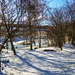 Pond garden -  February snow