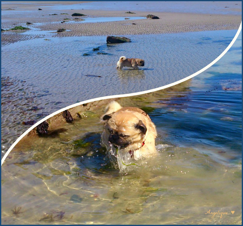 Un air de vacances ...........Karl à la plage ♥