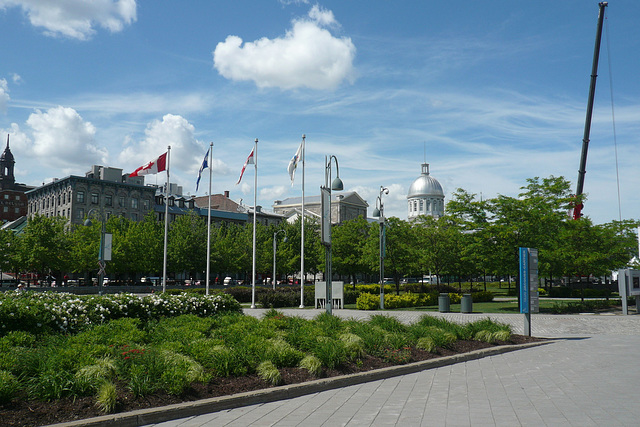 Montreal Old Port