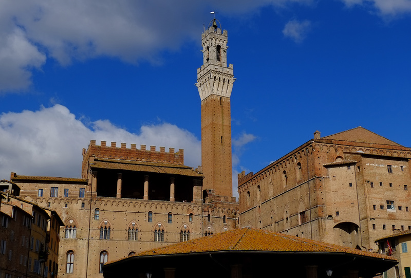 Tuscany 2015 Siena 9 Torre del Mangia XPro1