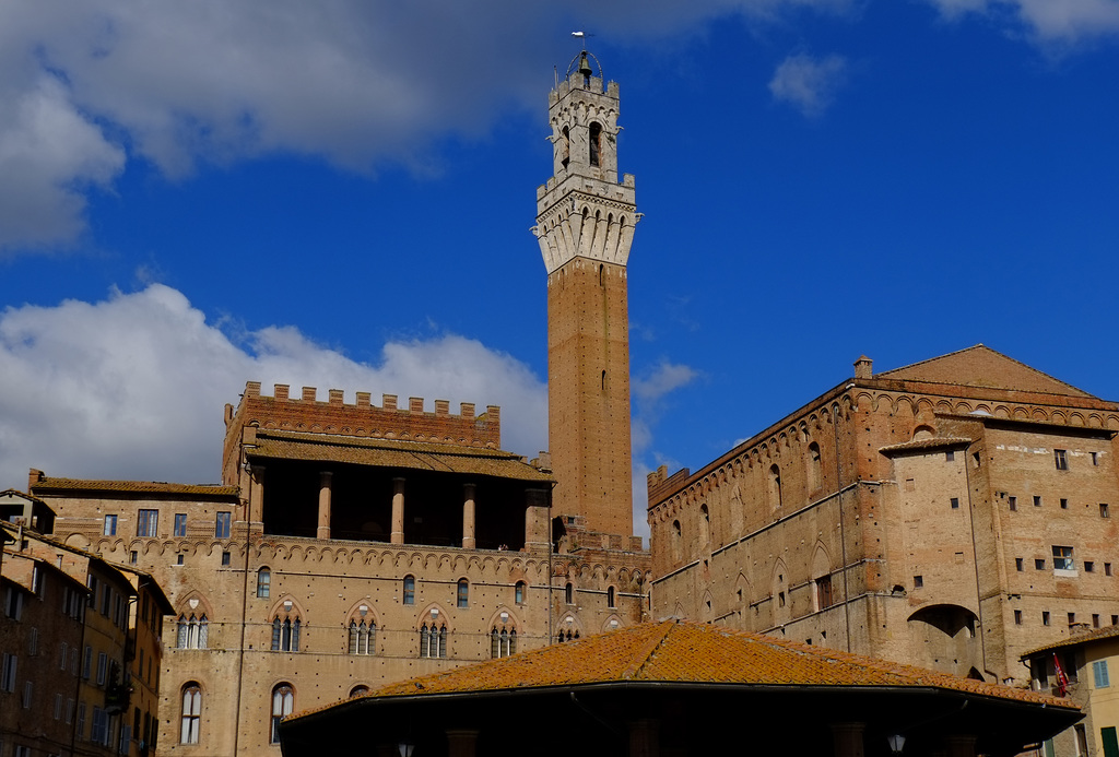 Tuscany 2015 Siena 9 Torre del Mangia XPro1
