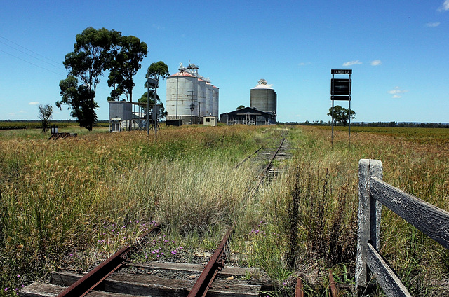 Grain loading facility