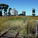 Grain loading facility