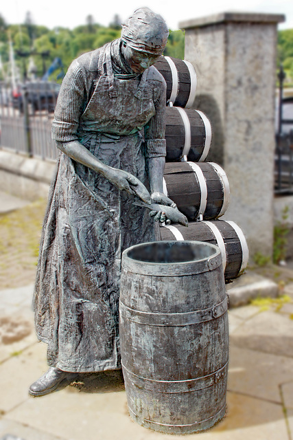 #23 - Ecobird - Stornoway Herring Girl - 3̊ 7points