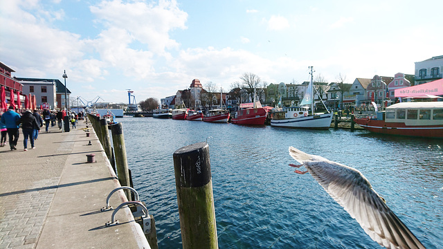 Am Alten Strom, Warnemünde