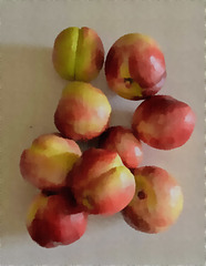 Last of this season's nectarines