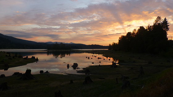 Alder Lake, WA , USA