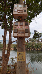 La nature électrique du Cambodge / Cambodia's electric nature