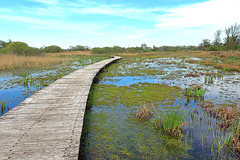 Nederland - Empe, Empese en Tondense Heide