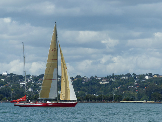 Steinlager 2 in Auckland Harbour - 23 February 2015