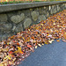 Stone Wall & Leaves
