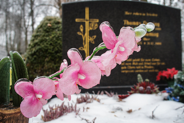 frozen Death frozen Death