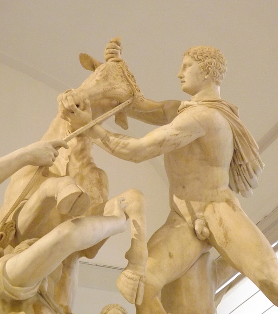 Detail of the Farnese Bull in the Naples Archaeological Museum, July 2012