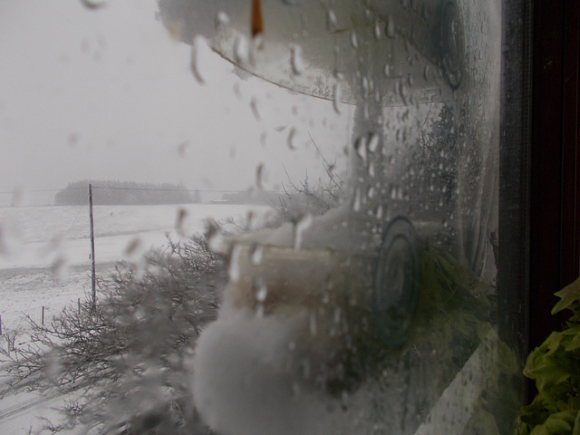 gbww - 24 Feb 2020 [3 of 7]