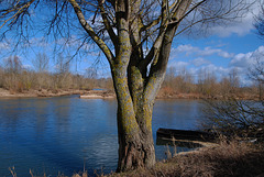 Quand je pense que lui et moi étions au bord de la rivière à admirer la Loire , ça crée des liens . . .