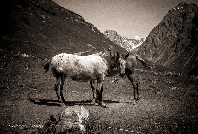 Parc de la Vanoise