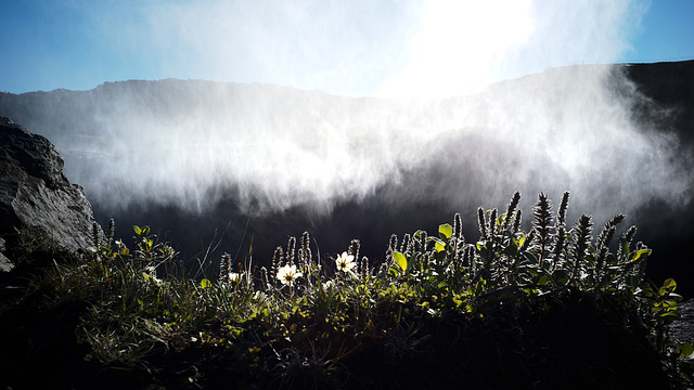 Dettifoss waterfall, Iceland L1004338