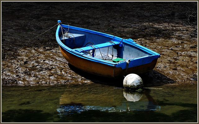 .... marée basse ...! .... marée basse ...!