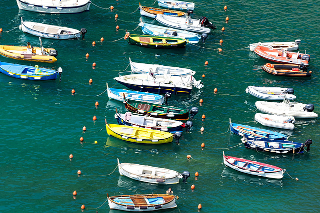 Vernazza, Cinque Terre, Italy(9)