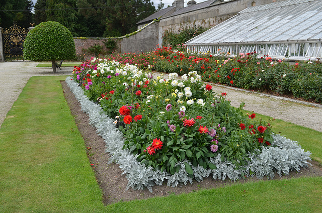 Flowerbed in Powerscourt Gardens