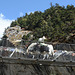 Khumbu, Yak on the Suspension Bridge