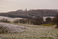 Winterlicher Krücker