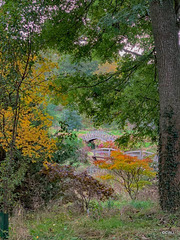 Burgie Arboretum