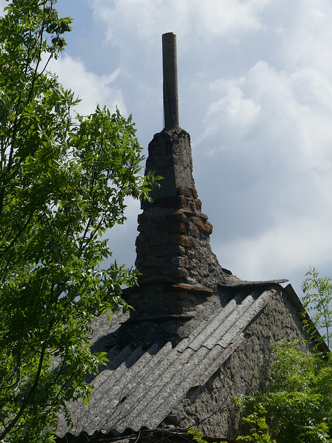 20230606 -08 Lozère tritons (113)