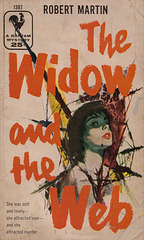 Robert Martin - The Widow and the Web