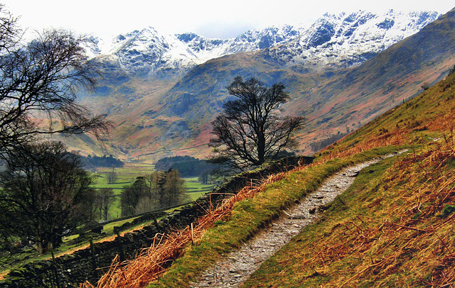 Grizedale, Cumbria.