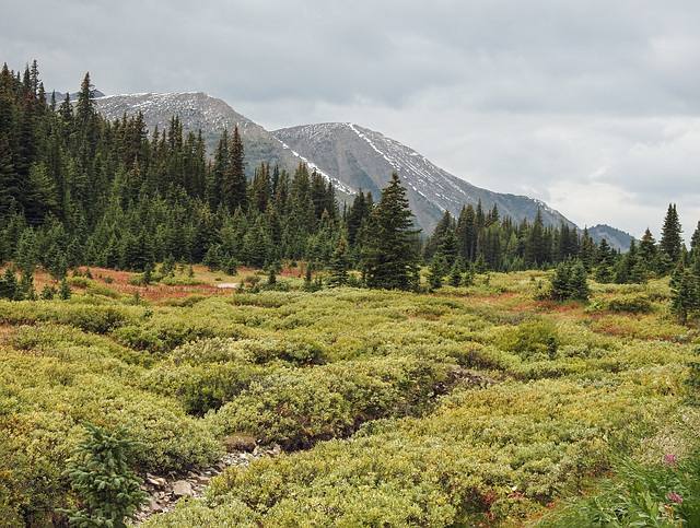 Late summer in Kananaskis