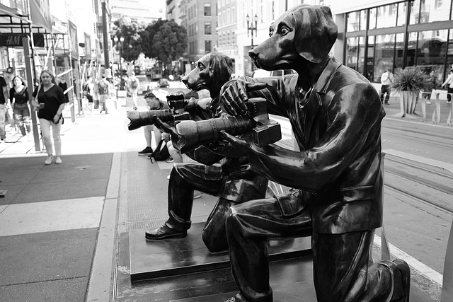 San Francisco, The City, Photographers of another kind! San Francisco, The City, Photographers of another kind!