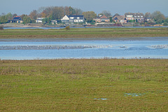 De rivier met huizen en vogels