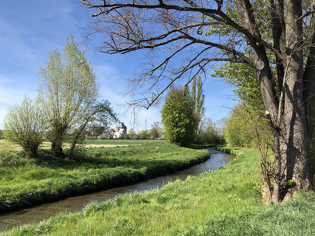 DE - Weilerswist - Blick nach Kleinvernich