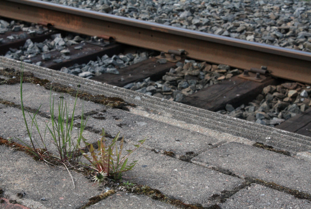 Railway tracks