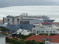 Oosterdam at Wellington (1) - 27 February 2015