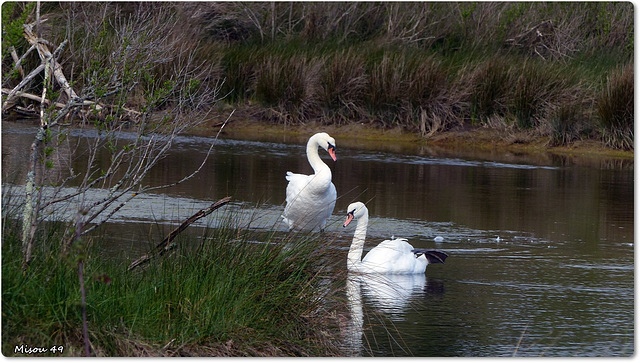 ARES (33 Gironde)