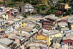 Vernazza, Cinque Terre, Italy(10)