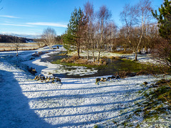 Pond garden -  February snow