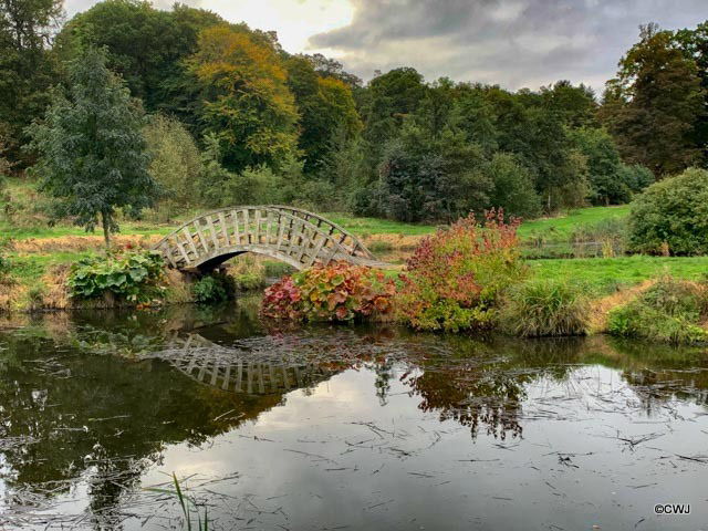 Burgie Arboretum