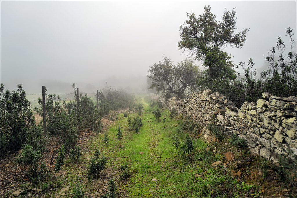 Penedos, Misty path