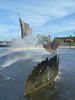 Sailfish in Three Stages of Ascending (4) - 8 March 2018