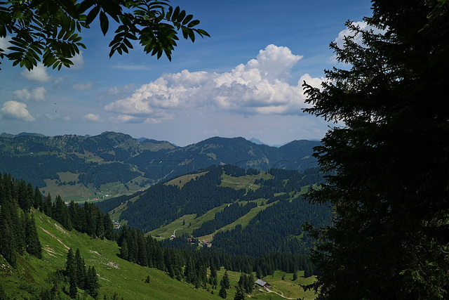 Feuerstätterkopf, Sibratsgfäll, Vorarlberg