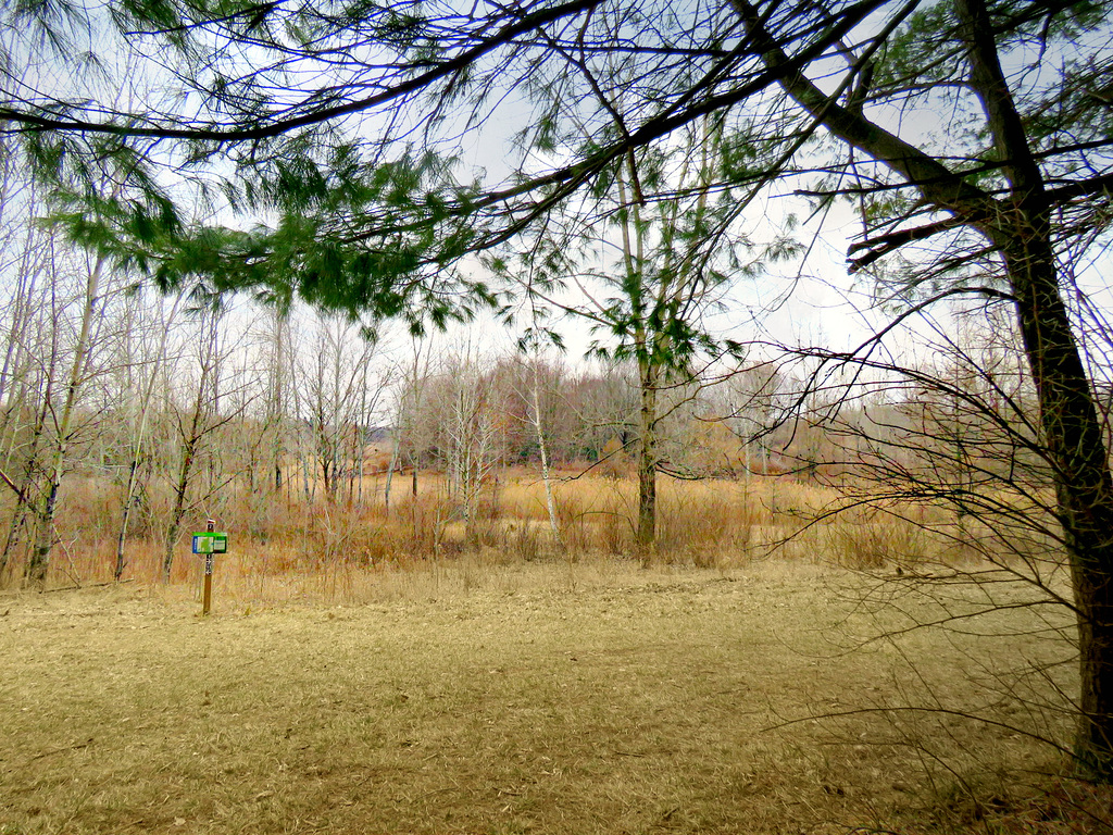 March in Michigan