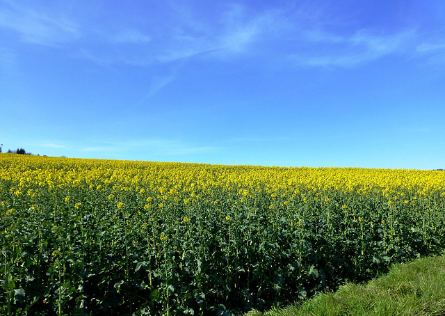 Wanderung am Samstag