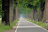 Friedrichsmoor Allee