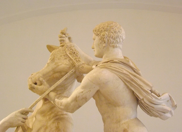 Detail of the Farnese Bull in the Naples Archaeological Museum, July 2012