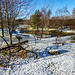Pond garden -  February snow