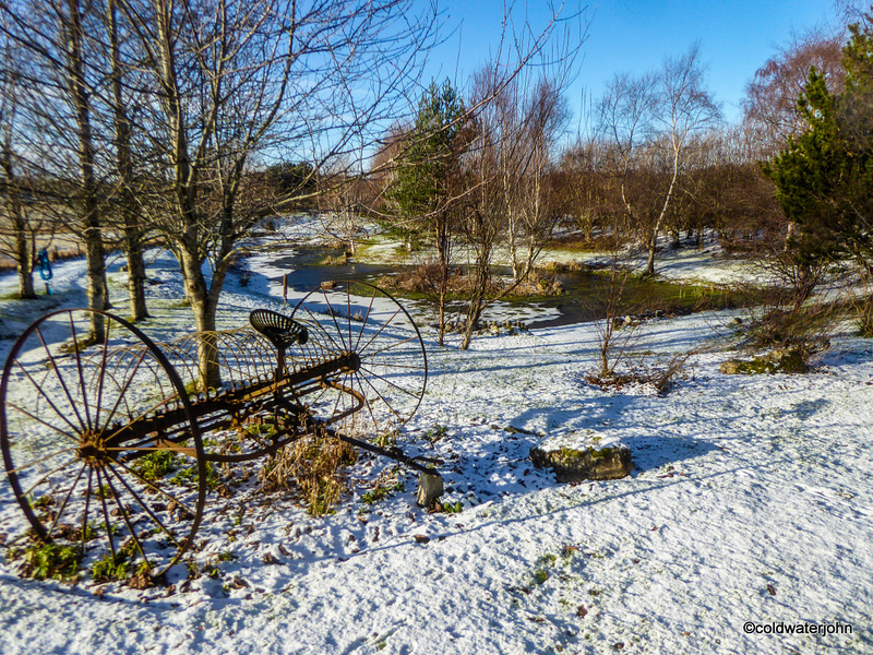 Pond garden -  February snow